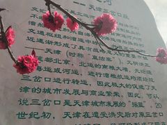 -桃花堤公园