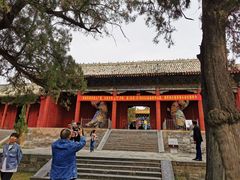 -中岳庙