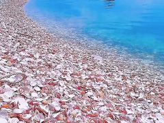 -威海国际海水浴场旅游区