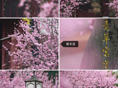 -望江楼公园