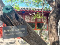 -北京鲁迅博物馆(北京新文化运动纪念馆鲁博馆区)