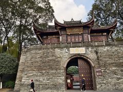 -桂湖森林公园