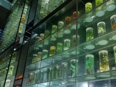 -广东中医药博物馆