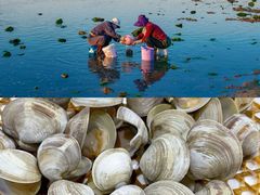 -前王院•巧克力海鲜市集餐厅(万平口店)