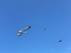 -海驴岛(荣成市)