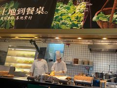 -佬肥猫(七宝宝龙店)