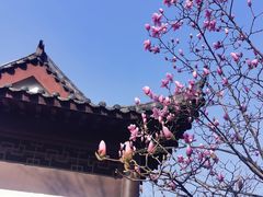 -武汉园博园(武汉自然博物馆)
