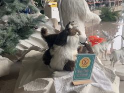 -IMON·HANSA潮玩玩偶毛绒玩具(通州万象汇店)