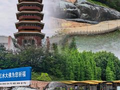-三水森林公园