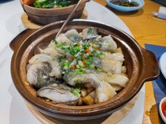 -点都德·毕德寮