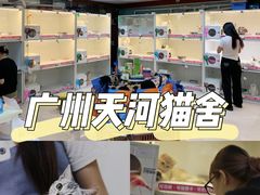 -lincat·猫舍(广州店)