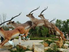 -武清南湖绿博园