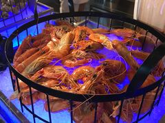 -越绣灶·自助餐(义乌香格里拉大酒店)
