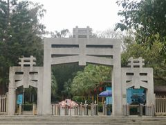 -宋井风景区