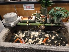 -鱼谦脆皮烤鱼(华阳城店)