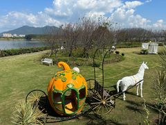 -福建鲤鱼洲酒店