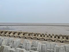 -南汇嘴观海公园