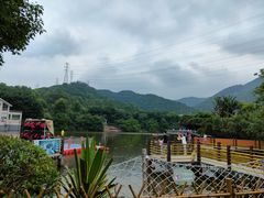 -东莞市大岭山森林公园