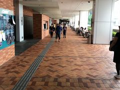 -香港大学
