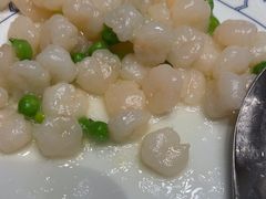 -新吉士·上海菜(浦东LCM置汇旭辉店)