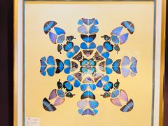 -广州白天鹅宾馆