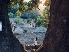 -杨家堂村