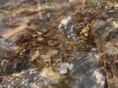 -草原塞蛮羊火锅城(港湾店)