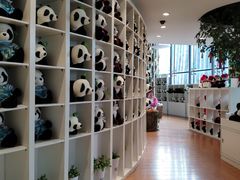 -大连森林动物园熊猫馆纪念品商店