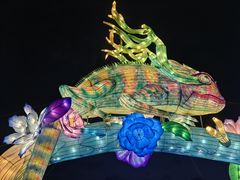 -亚龙湾国际玫瑰谷