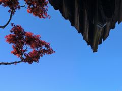 -个园