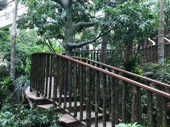 -正佳雨林生态植物园