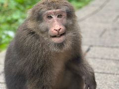 -西岭雪山大飞水景区