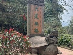 -青城山