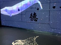 -顺德南宏海立方海洋公园