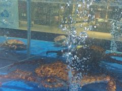 -永辉超市(鲁谷店)