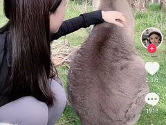 -约翰·菲茨杰拉德·肯尼迪国际机场