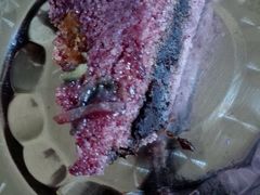 -一品方糕专卖店