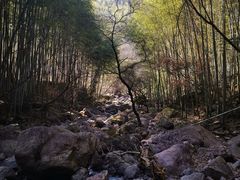 -四明山国家森林公园