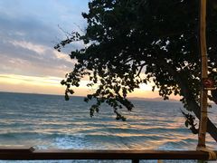 -卷心菜和避孕套餐厅(Pattaya)