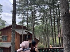 -洛阳白云山景区