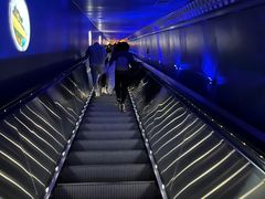 -白鹤梁水下博物馆
