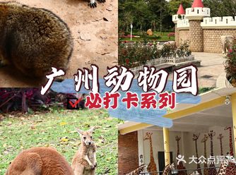 广州动物园️️元就能买到的快乐