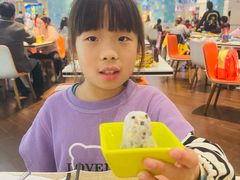 -帝企鹅自助餐厅•儿童岛•真企鹅(长隆企鹅酒店)