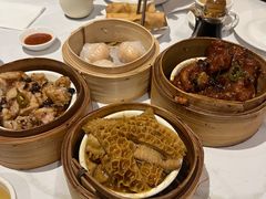 -食为先(Shark Fin)