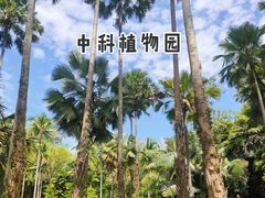 -中国科学院西双版纳热带植物园