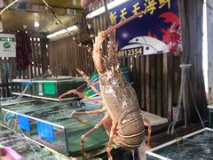 -拉威海鲜市场