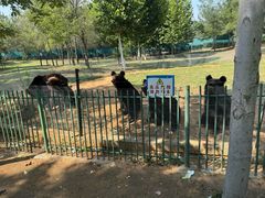 -秦皇岛野生动物园