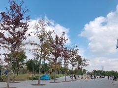 -上海山野camping·户外天幕烧烤·团建拓展营地