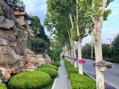 -静之湖湖畔餐厅