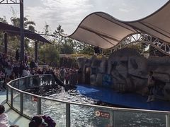 -泉州海丝野生动物世界